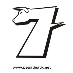 Stickers decals motorcycle CHECA 7