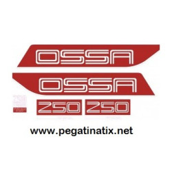 Decals motorcycle OSSA 250 COPA