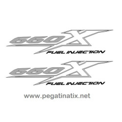  STICKERS DECALS YAMAHA 660X