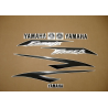 YAMAHA FZS600 FAZER 2002 - SILVER VERSION DECALS SET