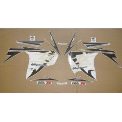 SUZUKI HAYABUSA 2009 - GREY/SILVER VERSION DECALS