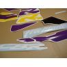 Honda CBR 919RR 1997 - YELLOW/BLACK/PURPLE VERSION DECALS