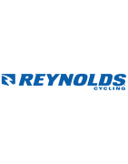 Reynolds