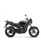 Fazer YS 250